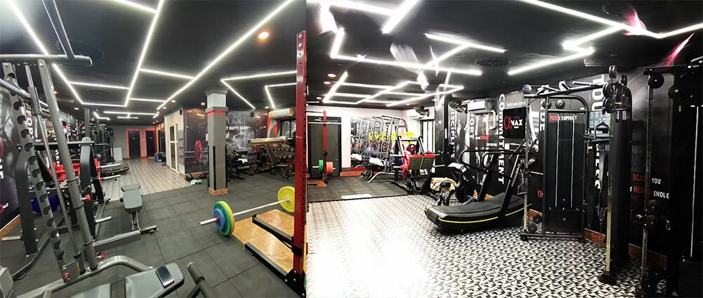 alpha-max-fitness02