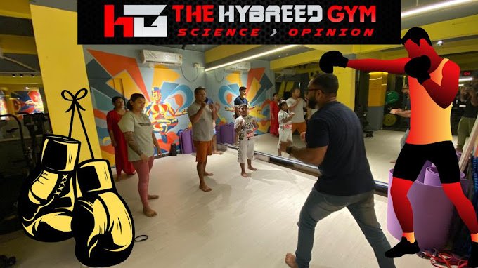 the-hybreed-gym01