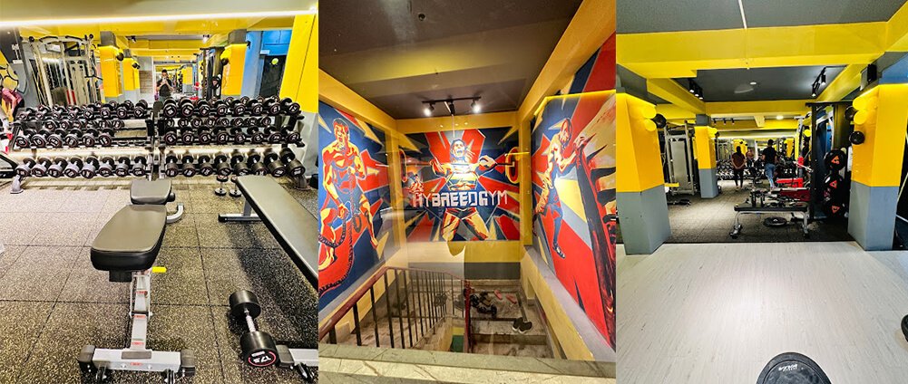the-hybreed-gym02