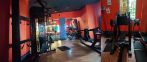 Troy’s Fitness Industry